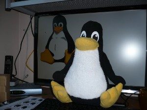 How to make your own stuffed toy Tux?